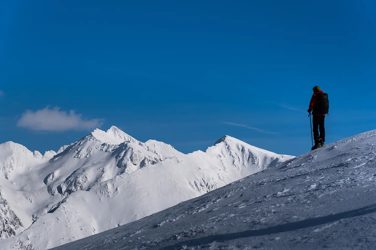 Munții Făgărașului