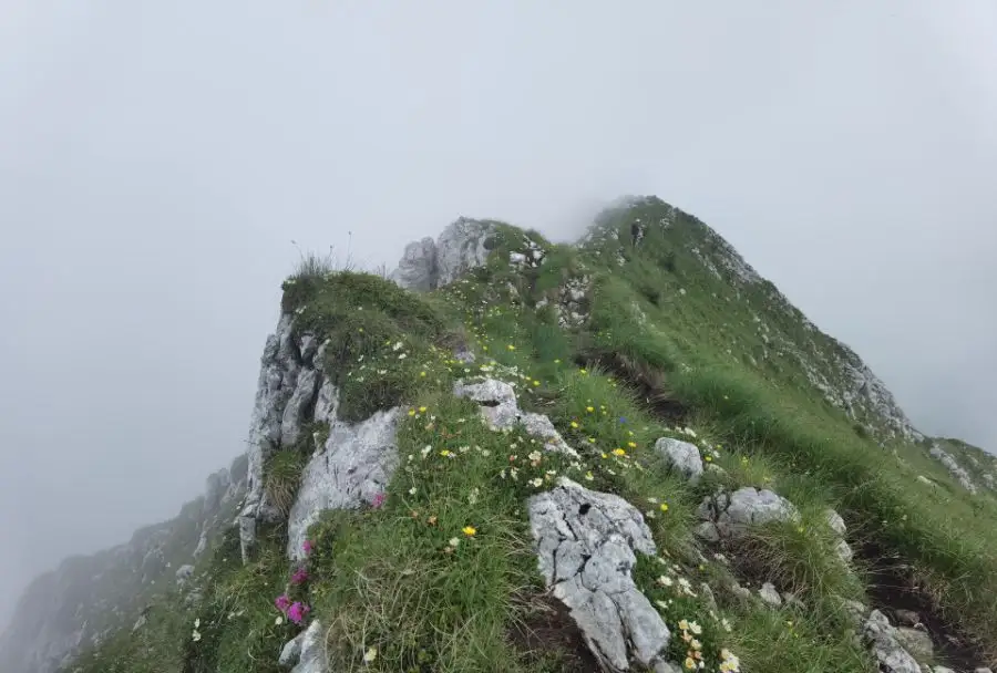 In creasta Pietrei Craiului