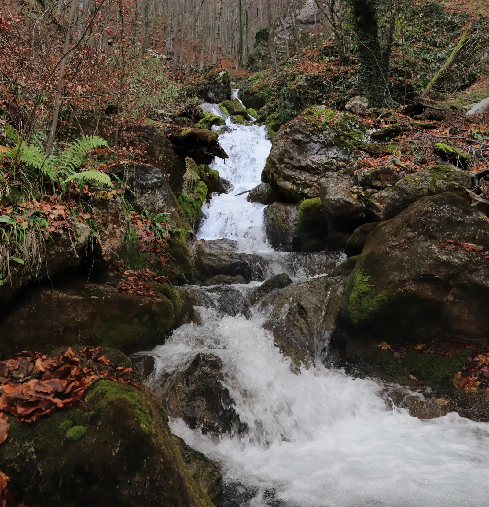  Cascadele Șipotului