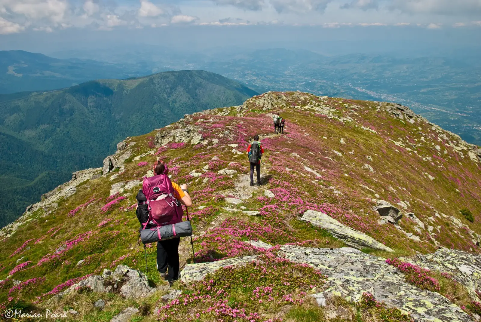 Pe Culmea Hotarului - Alina Cîrja