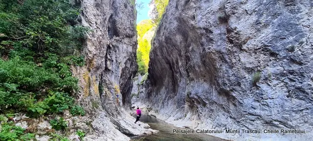 Cheile Rametului