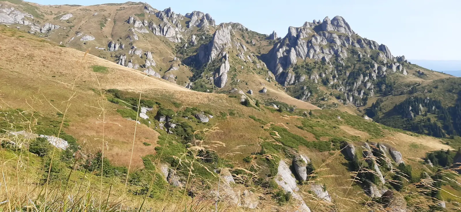 peisajele Calatotului vf ciucas