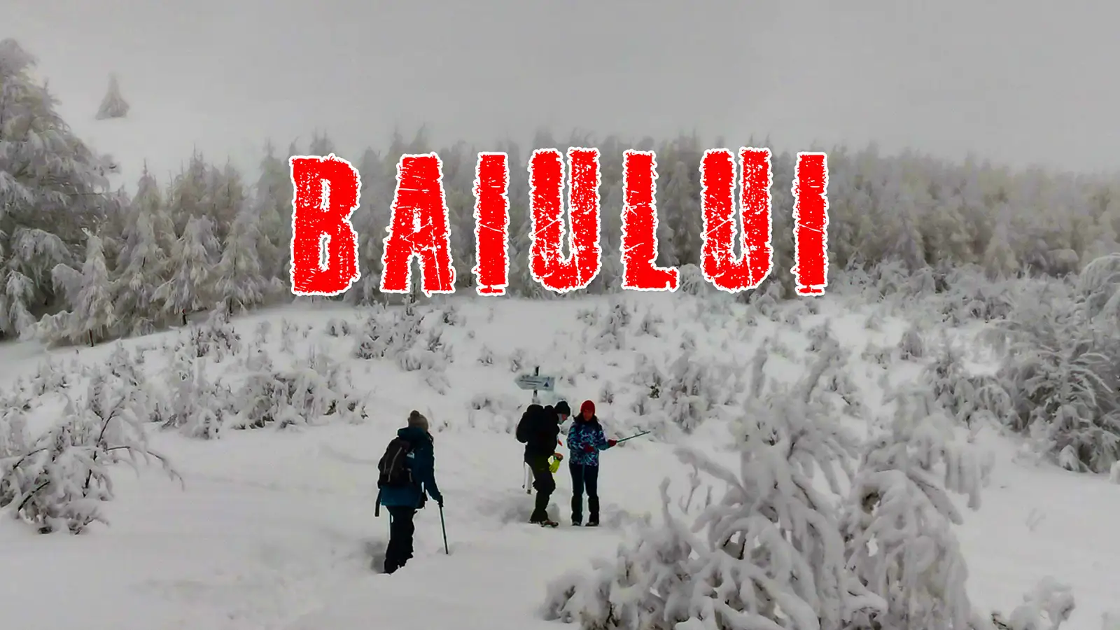  baiului