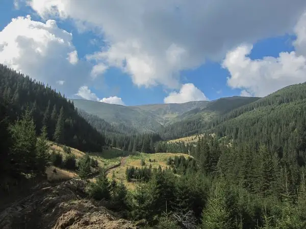 Sebeş - Valea Sebeşului - Şaua Comisu