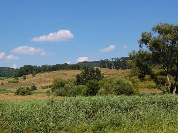 Agnita - Valea Lacul Sec - Agnita