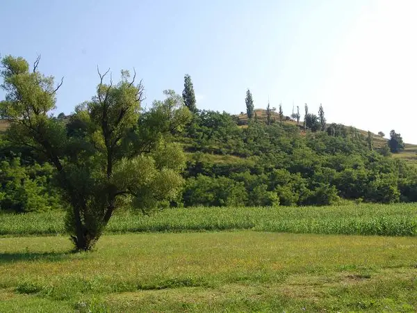 Biertan - Aţel - Richiş - Biertan