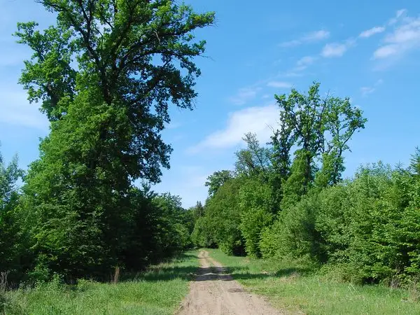 Daia - Dealul Nucului - Valea Lungă - Daia