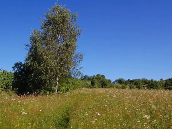 Roșia Montană - satul Văleni - popasul Fefeleaga