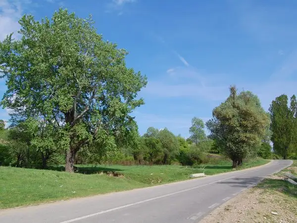 Făgăraş - Dealul Şonii - Movilele de la Şona - Făgăraş