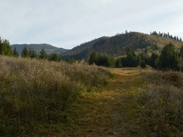 Covasna (Hotel Hefaistos) - Poiana lui Cocorea