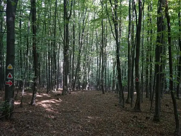 Lisnău-Vale - belvedere Lisnău Vale - Ruinele Cetăţii Barabás