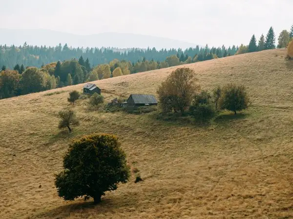 Sibiel - Valea Cetatii - Fânețele Sibielului - Poiana Godia