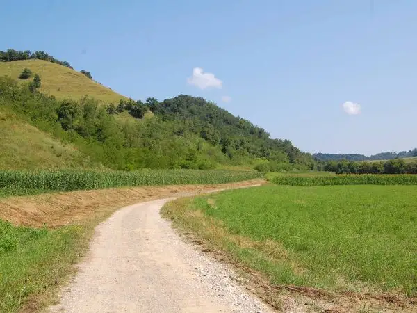 Biertan - Copşa Mare - Roandola - Copşa Mare - Biertan
