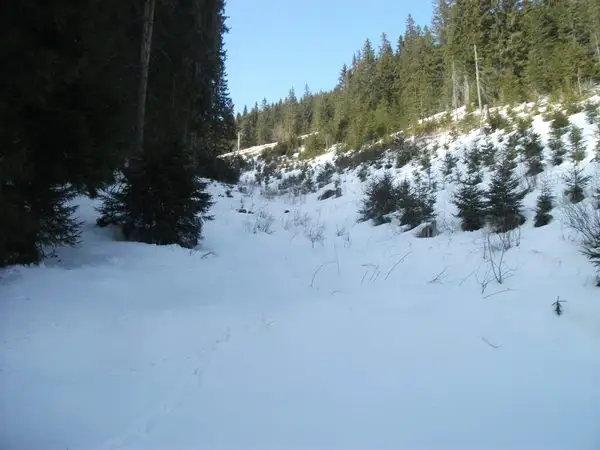 Statiunea Muntele Baisorii - Valea Vadului - Vf. Buscat - Saua La Plopis - Partia Baisoara