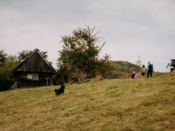 Sibiel - Valea Cetatii - Fânețele Sibielului - Poiana Godia