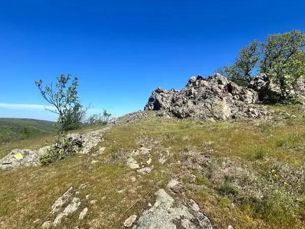 Pietrosul dobrogean