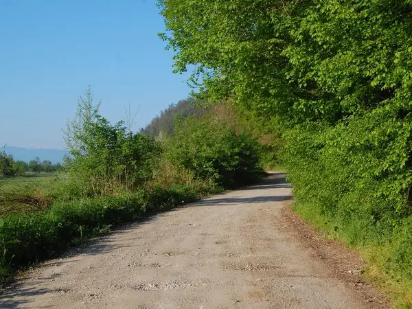 Comăna de Jos -  Dăişoara - Ticuşu Vechi - Comăna de Jos