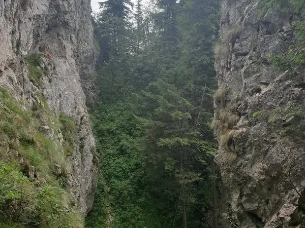 Pasul Puzdra - Vf. Clefile - Vf. Piciorul Barsanului - Vf. Vacaria - Curmatura Gemenea