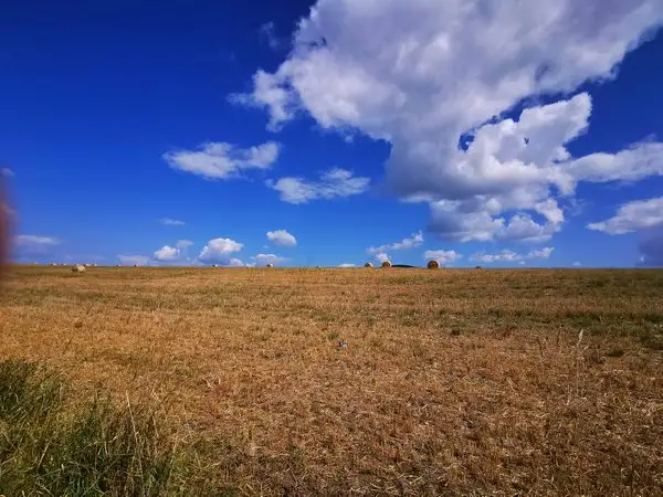 Cluj-Napoca - Cartierul Făget - Săvădisla - Floreşti - Cluj-Napoca