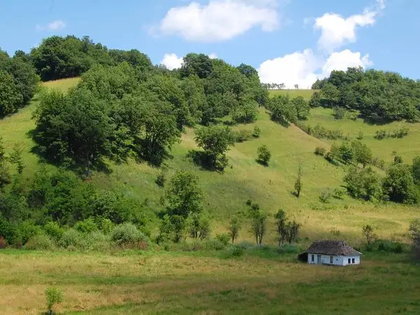 Nou Săsesc - Dealul lui Fetea - Copşa Mare - Nou Săsesc