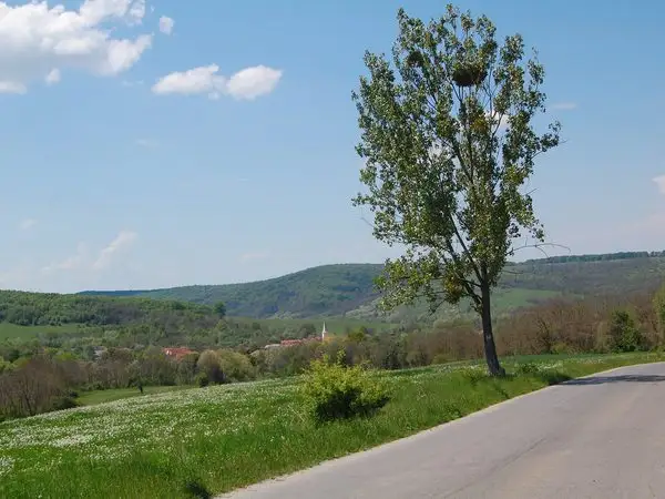Făgăraş - Dealul Rodbav - Făgăraş
