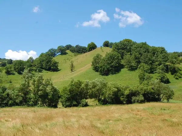 Criş - Pădurea Heţeu - Dealul Făgetului - Criş