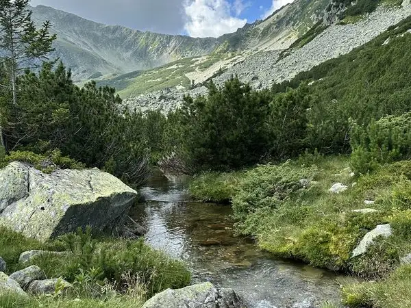 Stâna de Râu – Tăul Țapului – Vf. Păpușa – Șaua Custurii – Stâna de Râu