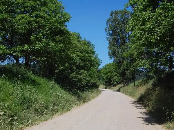 Sighişoara - Apold - Vulcan - Sighişoara