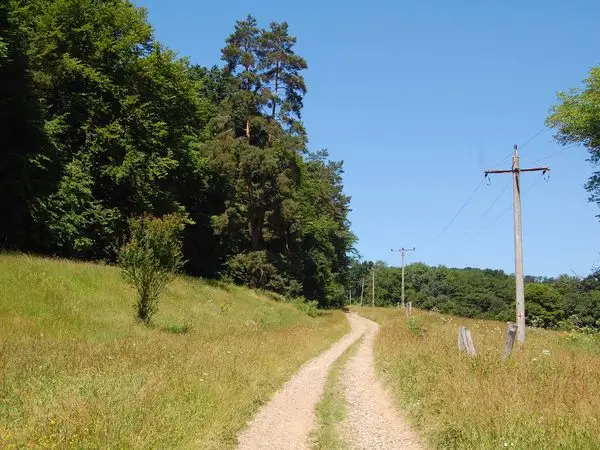 Sighişoara - Apold - Vulcan - Sighişoara