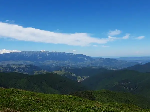 Moeciu de Sus - Vf. Bucsa - Saua Bucsa - Saua Strungulita -Moeciu de Sus