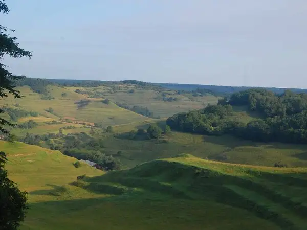 Criş - Pădurea Heţeu - Dealul Făgetului - Criş