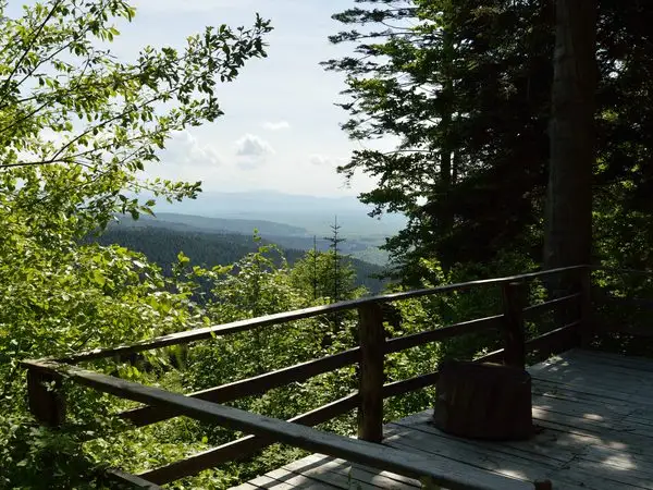 Zăbala - Vârful  Valoşul Mic - Pava