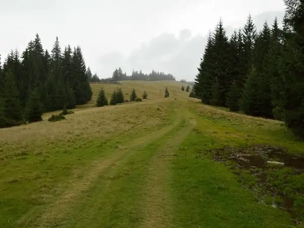 Covasna - Poiana Iacob
