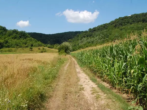 Biertan - Copşa Mare - Roandola - Copşa Mare - Biertan