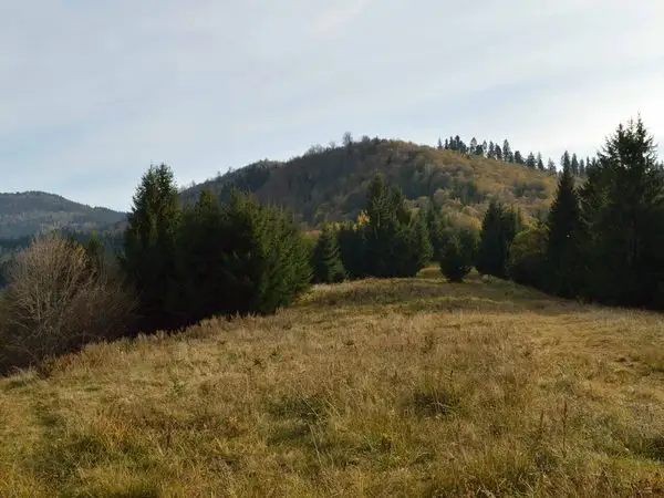 Covasna (Hotel Montana) - Poiana lui Cocorea