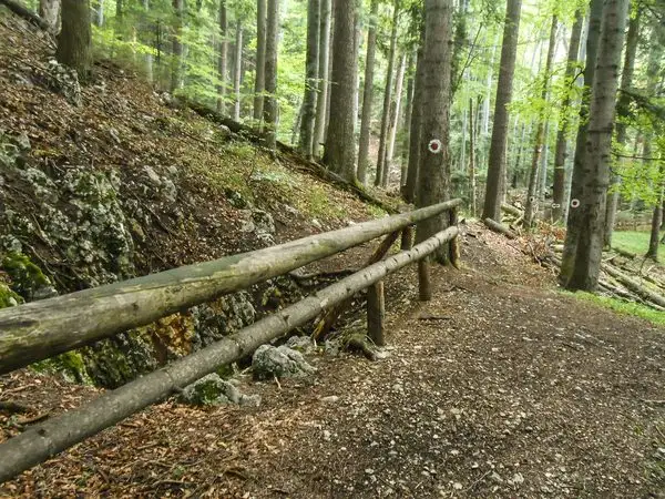 Poiana Braşov - Pârtia Lupului - Avenul Groapa de Aur - Valea Poienii