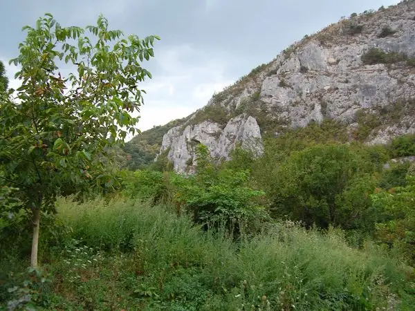 satul Băcia - satul Cheile Cibului - DC207
