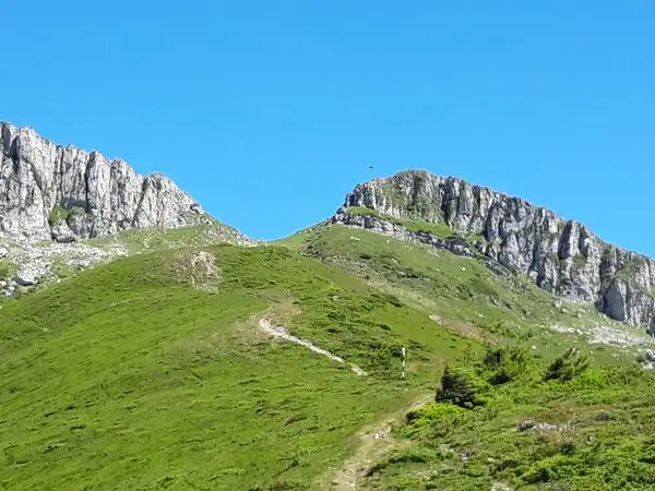 Moeciu de Sus - Vf. Bucsa - Saua Bucsa - Saua Strungulita -Moeciu de Sus
