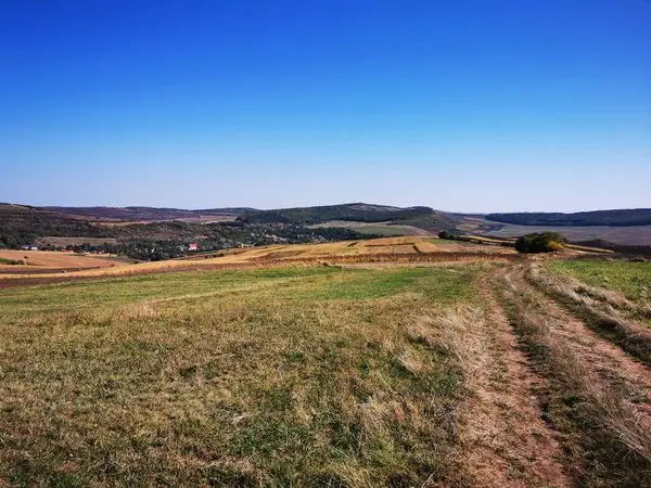 Vaida-Cămăraş - Petea - Vaida-Cămăraş