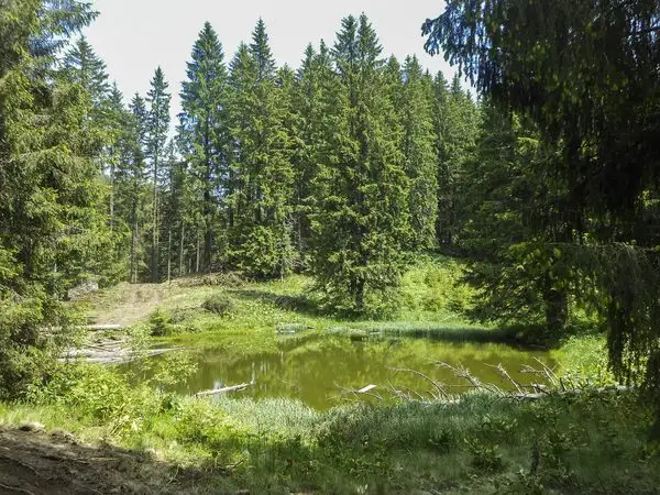 La Susai Mountain Resort - Valea Azugii - Cabana Renţea