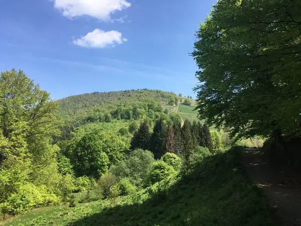 Ciupari - Curmătura Măgurii - Ciupari