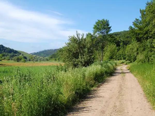 Laslea - Dealul Făgetului - Criş - Laslea