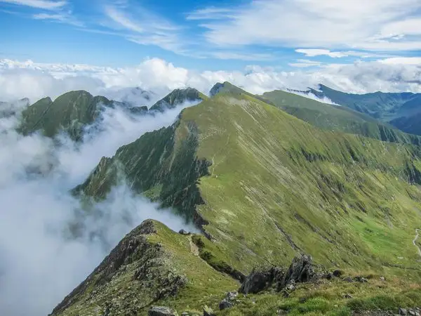 Curmătura Lerescului - Vârful Tămaşul Mare