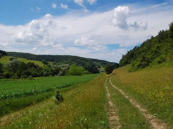 Laslea - Dealul Făgetului - Criş - Laslea