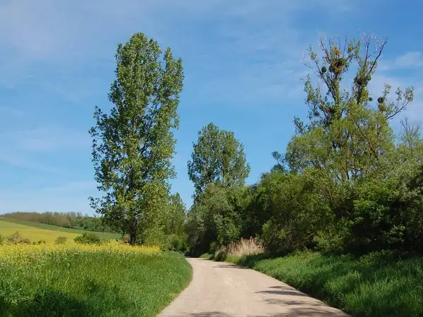 Brădeni - Seliştat - Noiştat - Brădeni