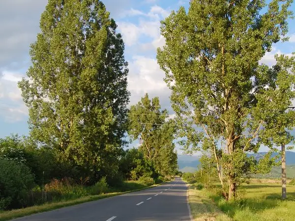 Sibiu - Nucet - Bradu - Caşolţ - Sibiu