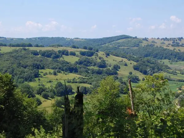 Criş - Pădurea Heţeu - Dealul Făgetului - Criş