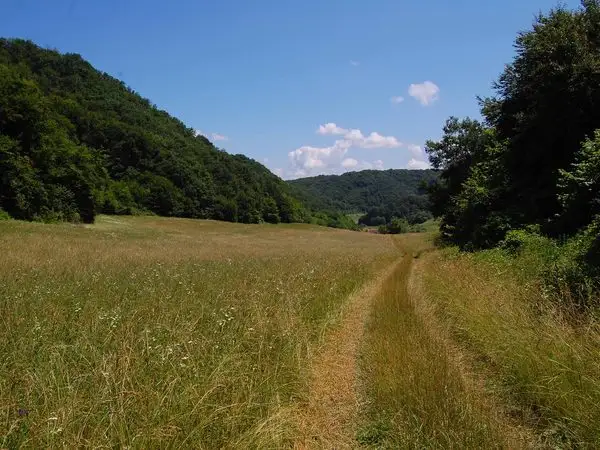 Criş - Pădurea Heţeu - Dealul Făgetului - Criş