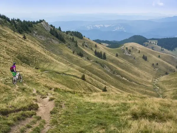 DN 1A (Cheia) - Culmea Văii Stânii - DN1A (Cheia)