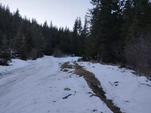 MUNTELE BAISORII 19.01.2025